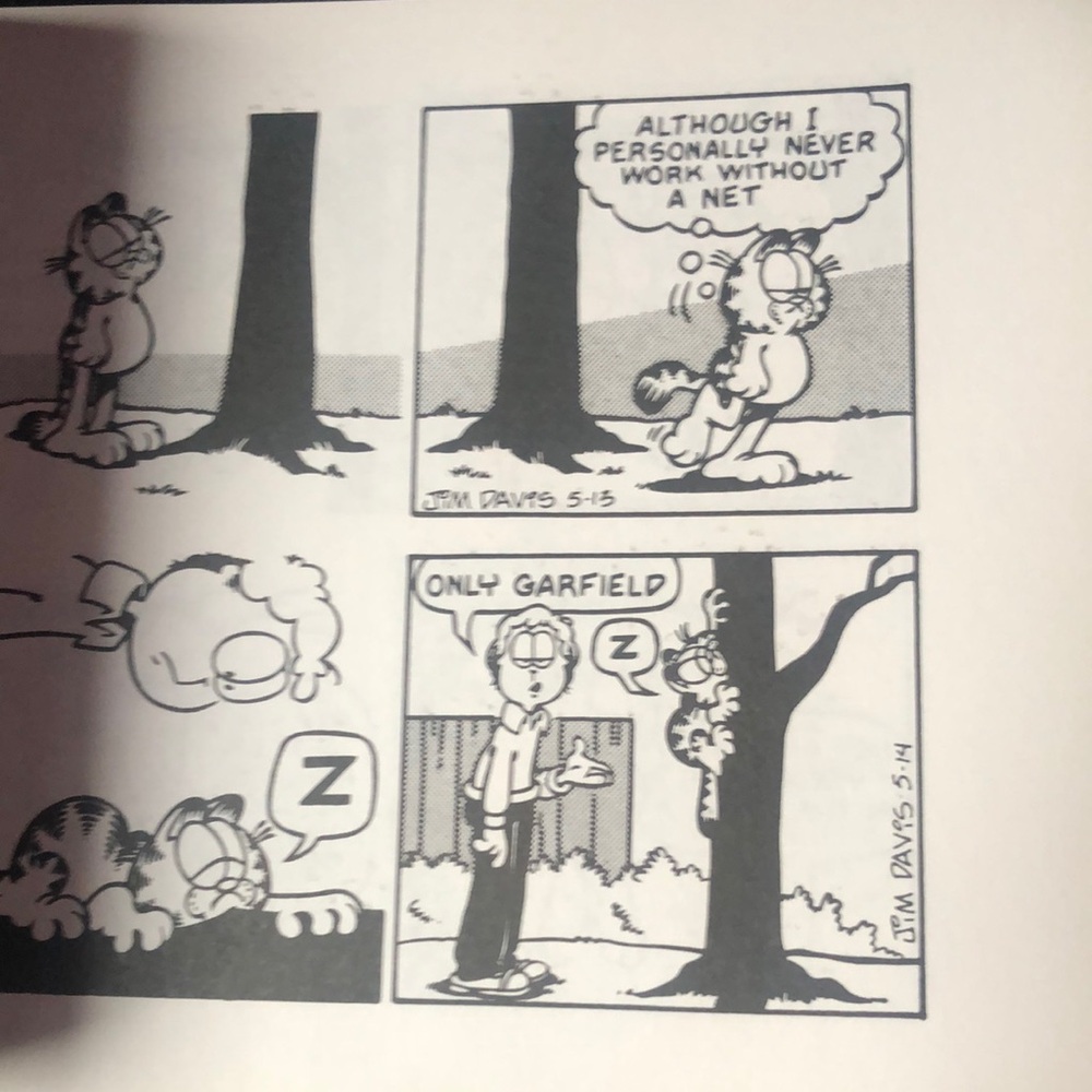 Garfield Comic Strip Black & White Panel